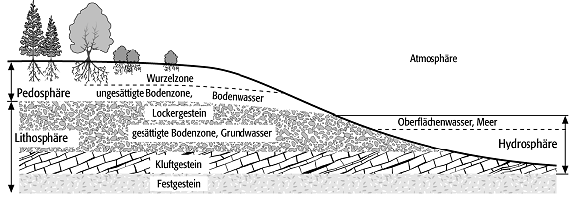 gesättigte Bodenzone