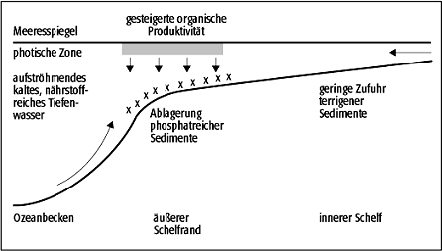 Phosphatlagerstätten