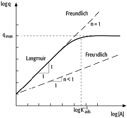 Adsorptionsisotherme