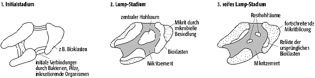 Aggregatkörner