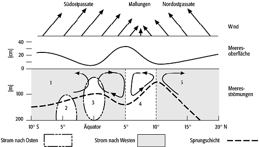 äquatoriales Stromsystem