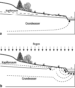 Grundwasserabfluss