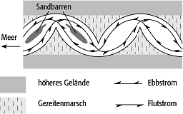 Ästuarmäander