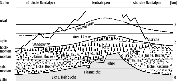 Höhenstufen