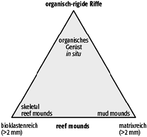 reef mound