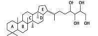 Hopanoide