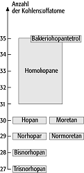 Hopanoide