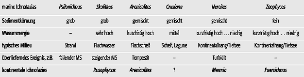 Ichnofazies