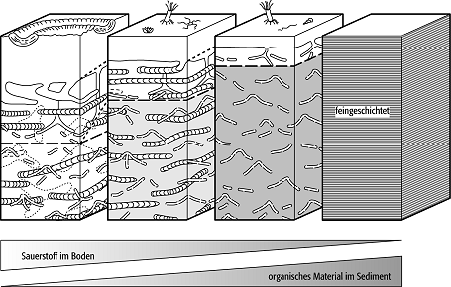 Ichnologie