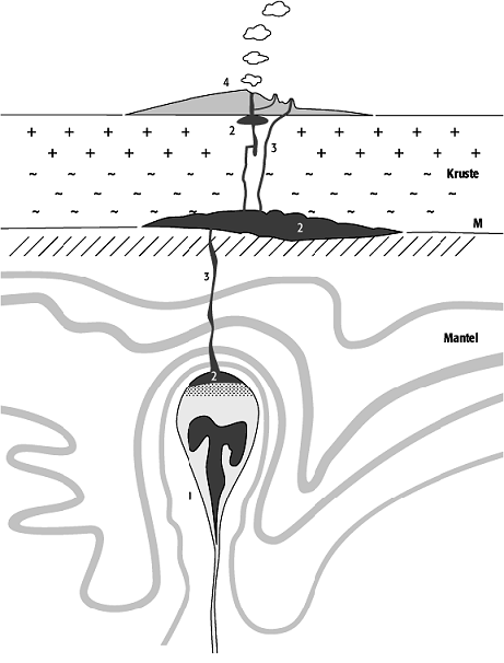 Rheologie