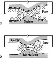 induzierte Polarisation