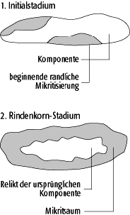 Rindenkörner