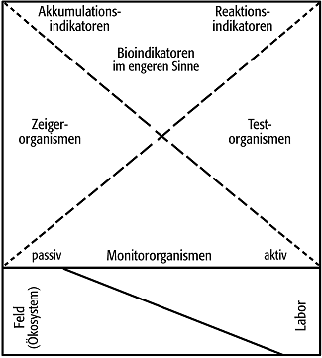 Bioindikator