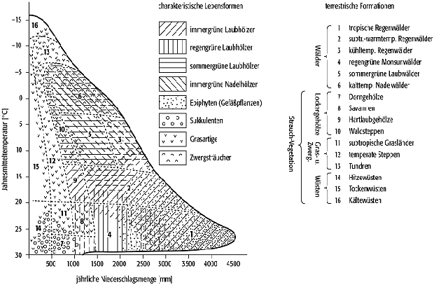 Bioklimatologie