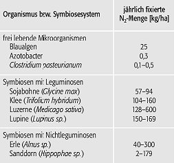 biologische Stickstoff-Fixierung