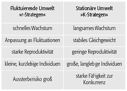 R-Strategie