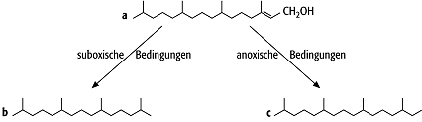 Biomarker