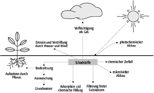 Rückstandsproblematik