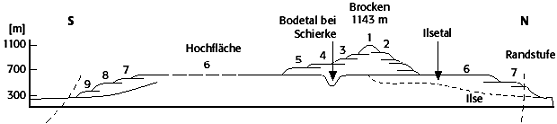 Rumpftreppe