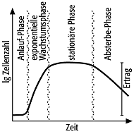 Biomassenproduktion