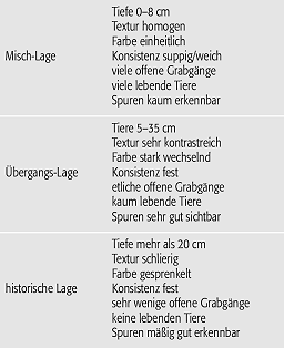 Bioturbation