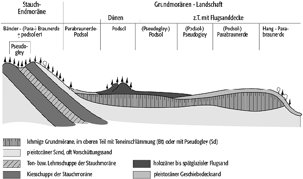 Bodenlandschaft