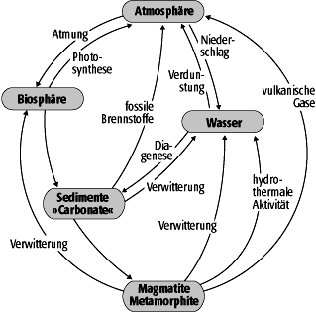 Sauerstoffkreislauf