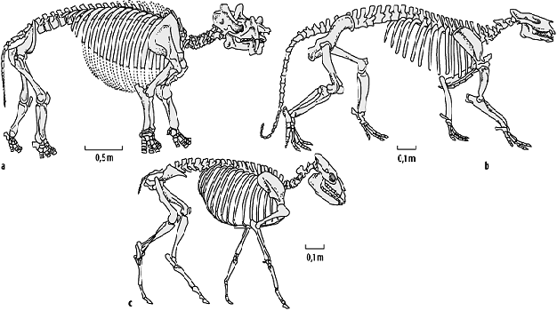 Säugetiere