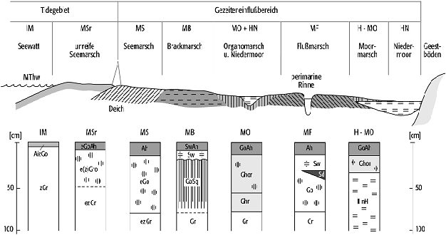 Brackmarsch