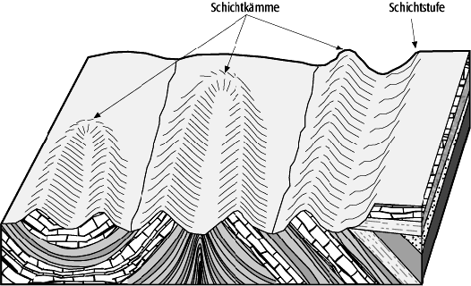 Schichtkamm