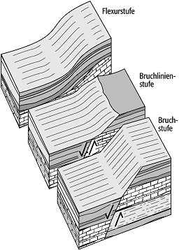 Bruchstufe