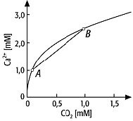 Carbonat-Kohlendioxid-System