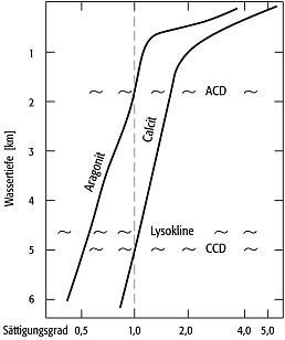 Carbonat-Kompensationstiefe