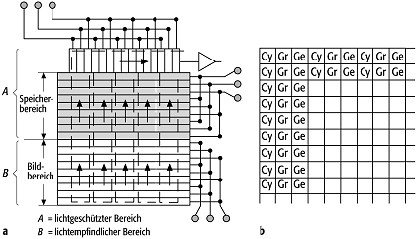 CCD-Sensor