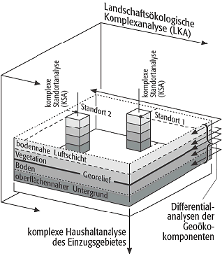 komplexe Standortanalyse