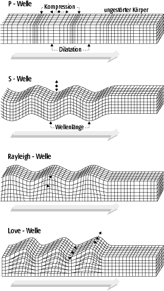 seismische Wellen