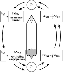 chemischer Gasphasentransport