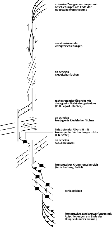 Seitenverschiebung