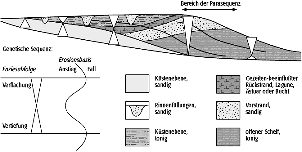 Sequenzstratigraphie