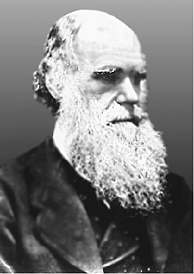 Darwin