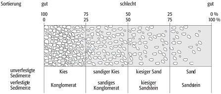 Sortierungsgrad