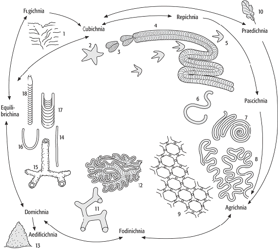 Spurenfossilien