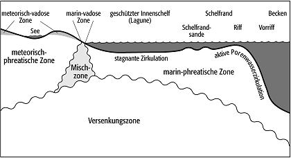 Diagenese