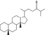 Diasteran