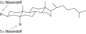 Stereoisomerie
