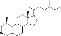 Stereoisomerie