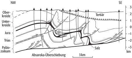 Stirnfalte