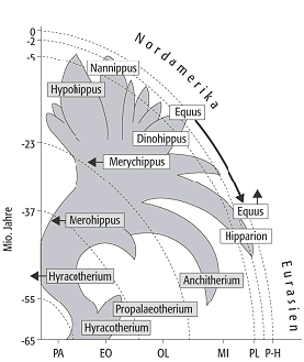 Taxonomie