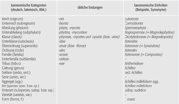 Taxonomie