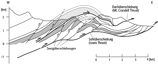 Duplex-Struktur